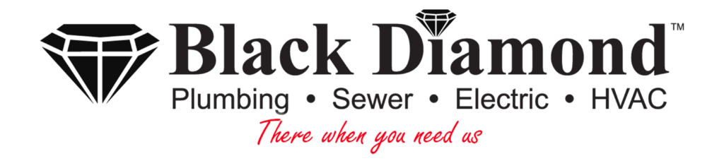 Black Diamond There When You Need Us Logo